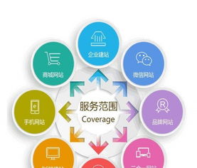 龍崗網站建設領跑者 圣璽網絡，引領網絡新生態